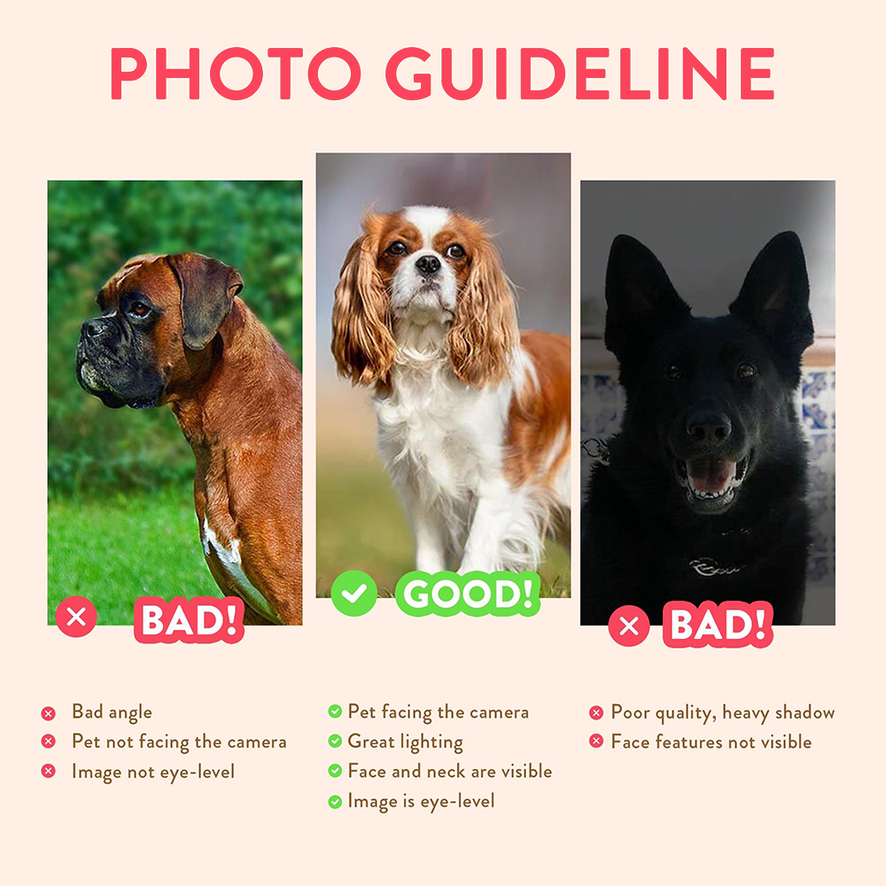 Personalized Pet Portraits Pho - огляд і ціна Photographic Memory