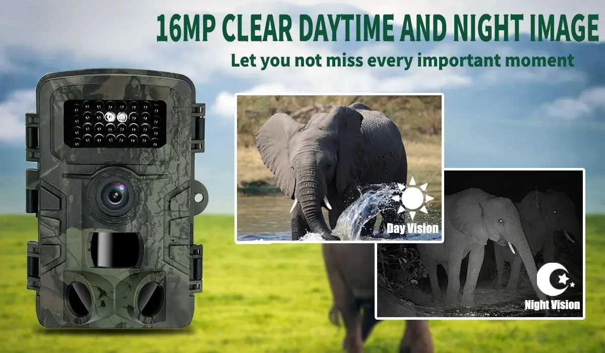 PR700 Outdoor Trail Camera, In - огляд і ціна Photographic Memory